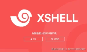 Xshell 8 免安装版是否支持多屏显示？？