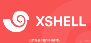 Xshell 8 免安装版如何复制粘贴？？